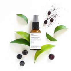 Evolve Organic Beauty Salicylic Rescue Serum -Care Product Store Rainforest Rescue Blemish Serum 30ml 2000x 11dd96daa3fc8c5e1119bc3ea0940038