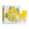 DECLÉOR Decleor Rosemary Collection -Care Product Store decleor rosemary collection 11dd96daa3fc8c5e1119bc3ea0940038