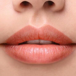 Delilah Colour Intense Cream Lipstick -Care Product Store delilah intense cream lipstick foxy 3 11dd96daa3fc8c5e1119bc3ea0940038