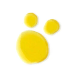 Evolve Organic Beauty Bio-Retinol + C Booster