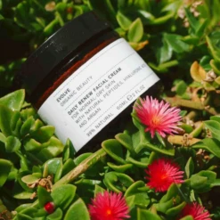 Evolve Organic Beauty Daily Renew Facial Cream -Care Product Store evolve products daily renew natural face cream 5614254063660 2000x 11dd96daa3fc8c5e1119bc3ea0940038
