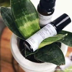 Evolve Organic Beauty Hyaluronic Eye Complex -Care Product Store evolve products hyaluronic eye complex 5614530068524 2000x 11dd96daa3fc8c5e1119bc3ea0940038